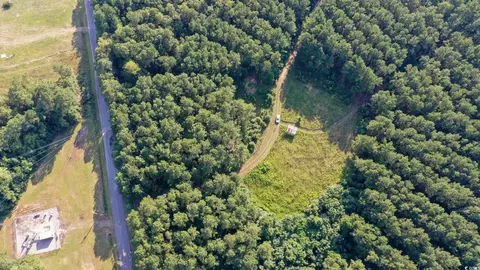 Powell Loop, Andrews, SC 29510 photo 6