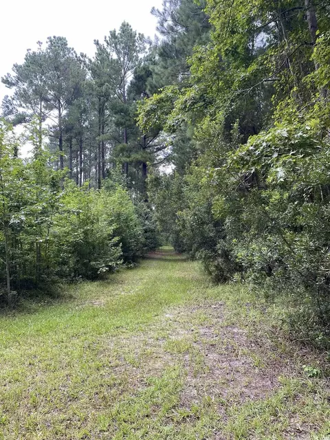 Powell Loop, Andrews, SC 29510 photo 9