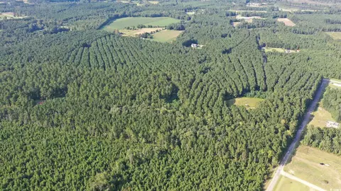 Powell Loop, Andrews, SC 29510 photo 2