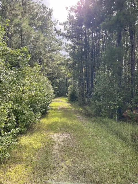 Powell Loop, Andrews, SC 29510 photo 11