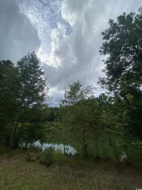 Powell Loop, Andrews, SC 29510 photo 10