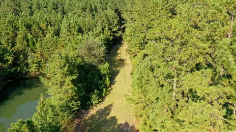 Powell Loop, Andrews, SC 29510 photo 7