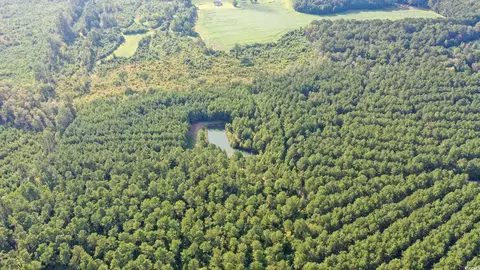 Powell Loop, Andrews, SC 29510 photo 8