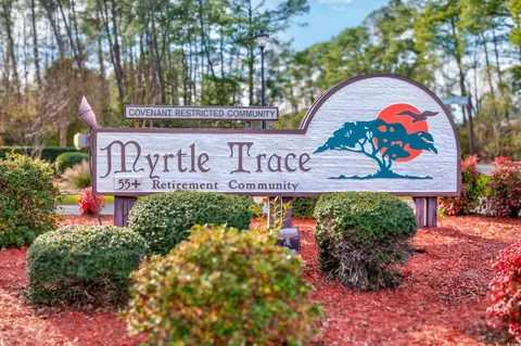 View/Area - 228 Cedar Ridge Ln, Conway, SC 29526 photo 4 of 4