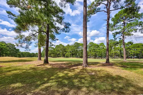 Exterior - 228 Cedar Ridge Ln, Conway, SC 29526 photo 7 of 9