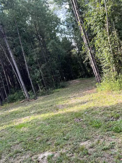 tbd Oglethorpe Dr, Andrews, SC 29510 photo 1
