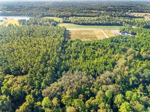 tbd Tansy Rd, Loris, SC 29569 photo 5