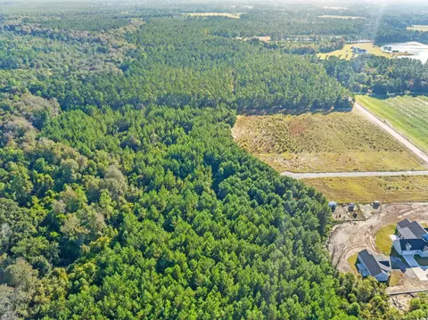 tbd Tansy Rd, Loris, SC 29569 photo 6