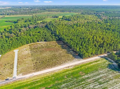 tbd Tansy Rd, Loris, SC 29569 photo 8
