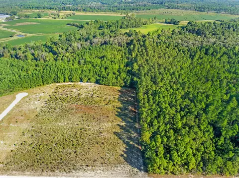 tbd Tansy Rd, Loris, SC 29569 photo 4