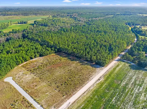 tbd Tansy Rd, Loris, SC 29569 photo 7