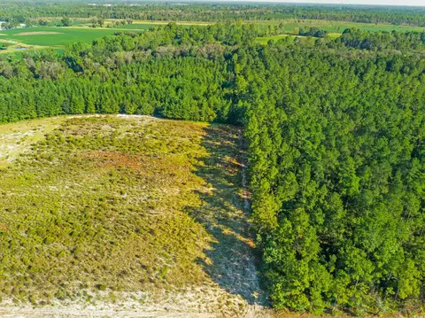 tbd Tansy Rd, Loris, SC 29569 photo 3