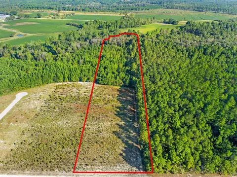 tbd Tansy Rd, Loris, SC 29569
