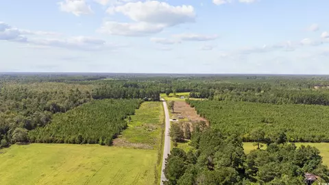 lot3 Black Creek Rd, Nichols, SC 29581