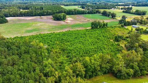 tbd Carter Rd, Loris, SC 29569 photo 5