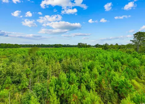 tbd Carter Rd, Loris, SC 29569 photo 3