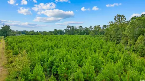 tbd Carter Rd, Loris, SC 29569 photo 4