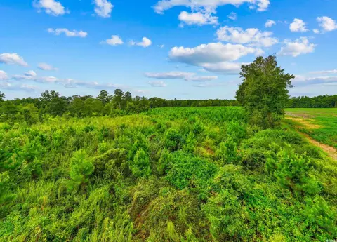 tbd Carter Rd, Loris, SC 29569 photo 2