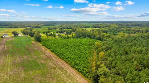 tbd Carter Rd, Loris, SC 29569 photo 7