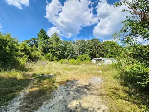 239 Canis Lupus Ln, Aynor, SC 29511