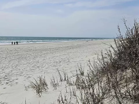 355 Meadowlark Dr, Surfside Beach, SC 29575 photo 39
