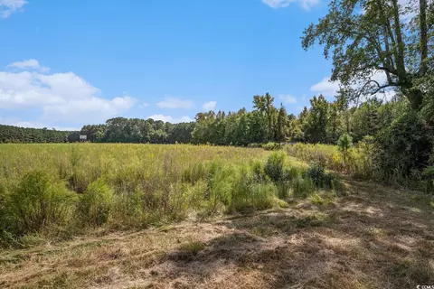 221 E Bay Rd, Gresham, SC 29546 photo 36