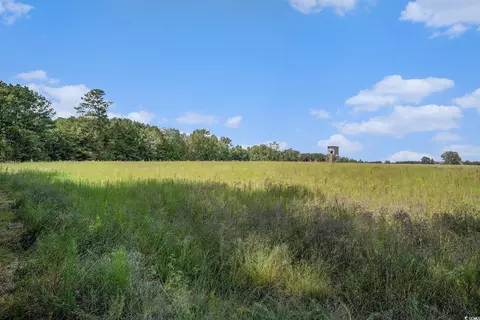 221 E Bay Rd, Gresham, SC 29546 photo 38