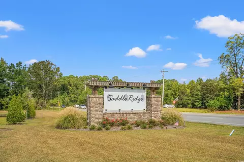 262 Saddle St, Conway, SC 29527 photo 36