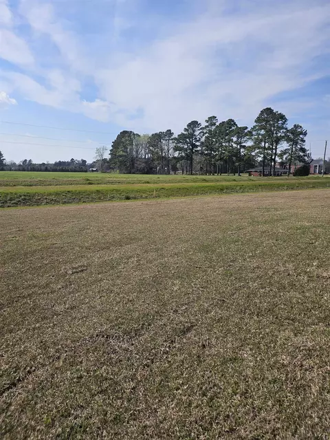 169 River Birch Dr, Loris, SC 29569 photo 30