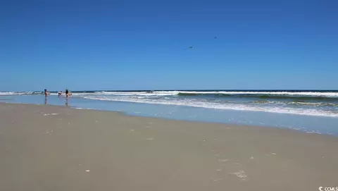 225 Blueberry Fields Ct, Longs, SC 29568 photo 40