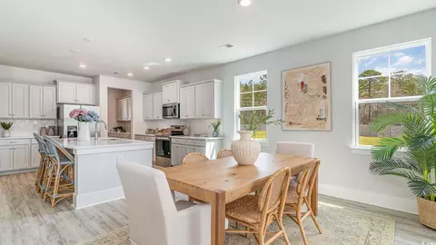 225 Blueberry Fields Ct, Longs, SC 29568 photo 15