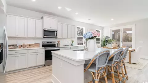 225 Blueberry Fields Ct, Longs, SC 29568 photo 16