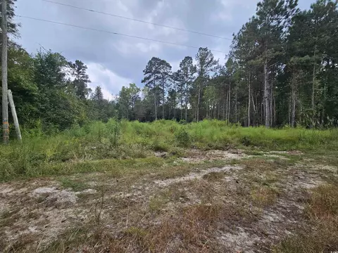 Monument Ct, Marion, SC 29571