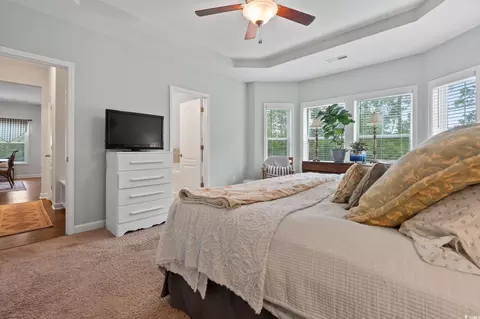 310 Integrity Ct, Conway, SC 29526 photo 21