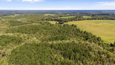 000 Schofield Pl, Fork, SC 29543 photo 6
