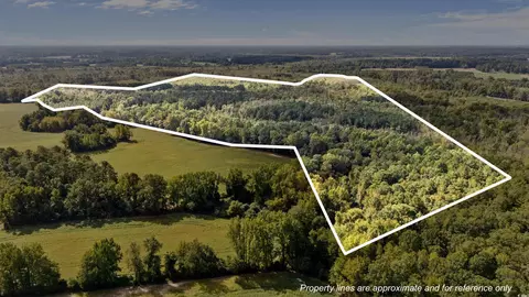 000 Schofield Pl, Fork, SC 29543 photo 9