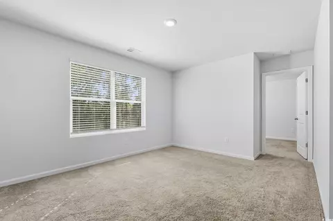 437 Stevia Ct, Conway, SC 29526 photo 25