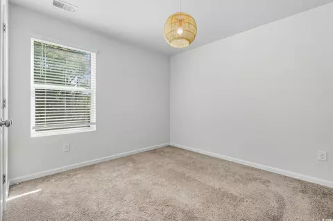 437 Stevia Ct, Conway, SC 29526 photo 30