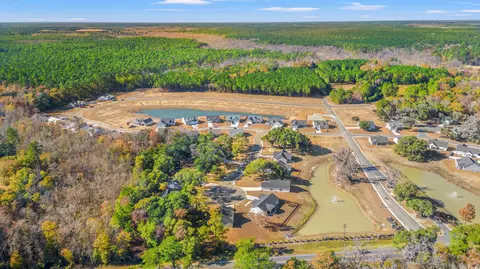 View/Area - 104 Double Pond Dr, Georgetown, SC 29440 photo 3 of 4