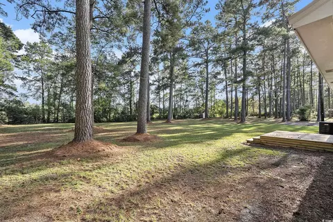 Exterior - 494 Ray Rd, Hemingway, SC 29554 photo 6 of 6