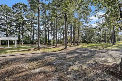 Exterior - 494 Ray Rd, Hemingway, SC 29554 photo 3 of 6