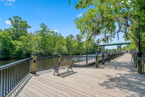 View/Area - 208 Blue Wing Ct, Conway, SC 29527 photo 1 of 6
