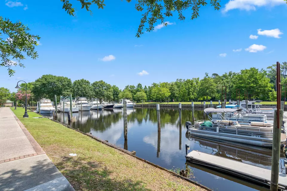 View/Area - 208 Blue Wing Ct, Conway, SC 29527 photo 2 of 6