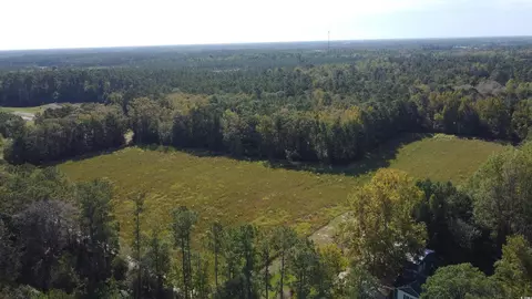tbd Bluebird Rd, Loris, SC 29569 photo 8