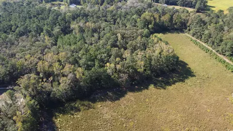 tbd Bluebird Rd, Loris, SC 29569 photo 2
