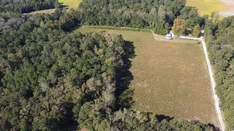 tbd Bluebird Rd, Loris, SC 29569 photo 4
