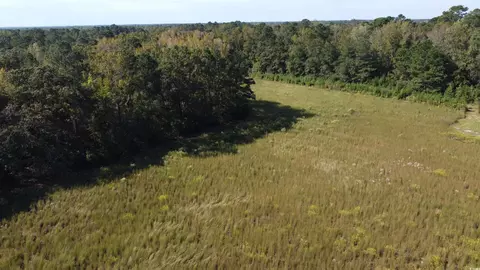 tbd Bluebird Rd, Loris, SC 29569 photo 5