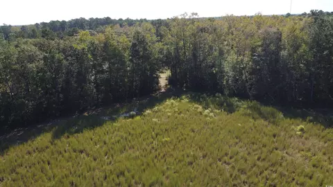 tbd Bluebird Rd, Loris, SC 29569 photo 7