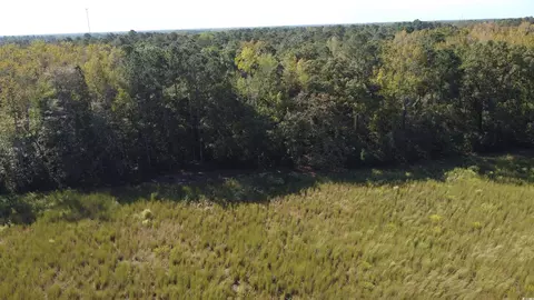 tbd Bluebird Rd, Loris, SC 29569 photo 6
