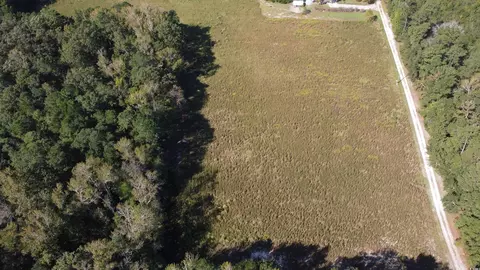 tbd Bluebird Rd, Loris, SC 29569 photo 3